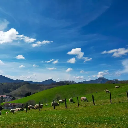 ベッド・アンド・ブレックファスト Goitik Ikusita エノア