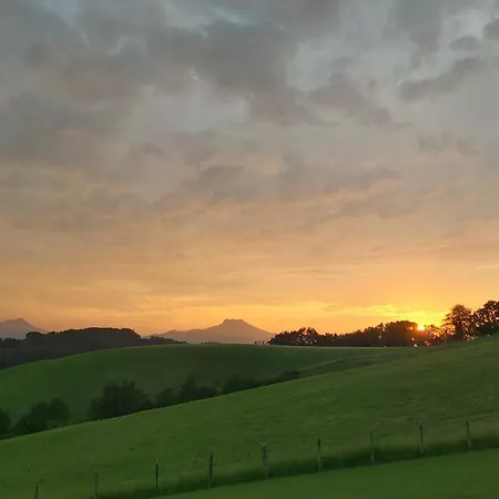 ベッド・アンド・ブレックファスト Goitik Ikusita